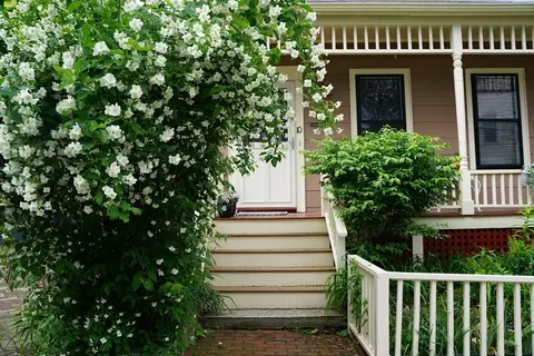 10 Mountain Ave, Somerville, MA 02143