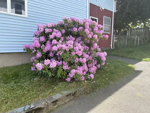 29 Oakland Ave, Everett, MA 02149 photo 8