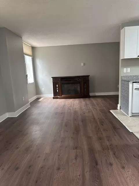 Living - 140 Chestnut St #M4, Springfield, MA 01103 photo 3 of 5