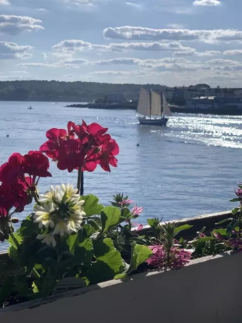 View/Area - 7 Sumac Ln, Gloucester, MA 01930 photo 15 of 17