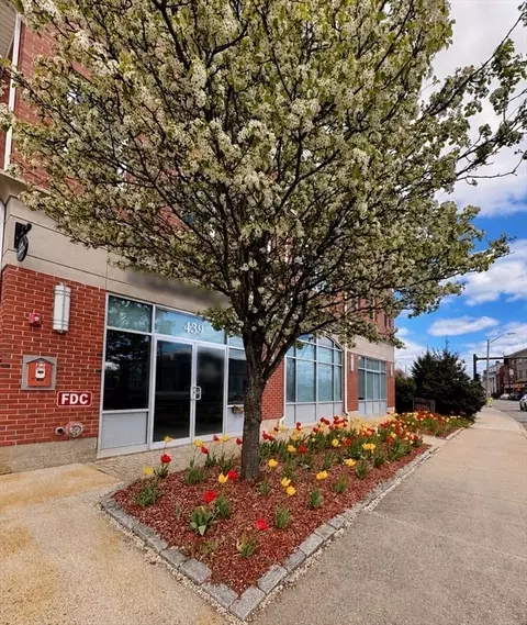 441 Washington St #203, Dedham, MA 02026