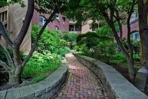 Exterior - 29 Irving St #8, Worcester, MA 01609 photo 2 of 6