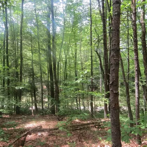 lot1 Pratt Corner Rd, Leverett, MA 01054