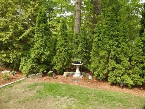 191 Pineviewter #191, Wareham, MA 02576 photo 10