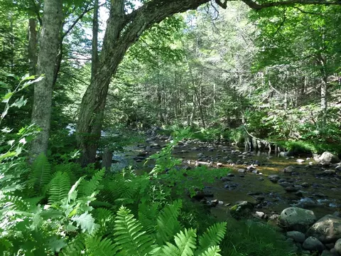 30 River Rd, Middlefield, MA 01050 photo 6