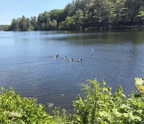 64 S Shore Dr, Orange, MA 01364 photo 40