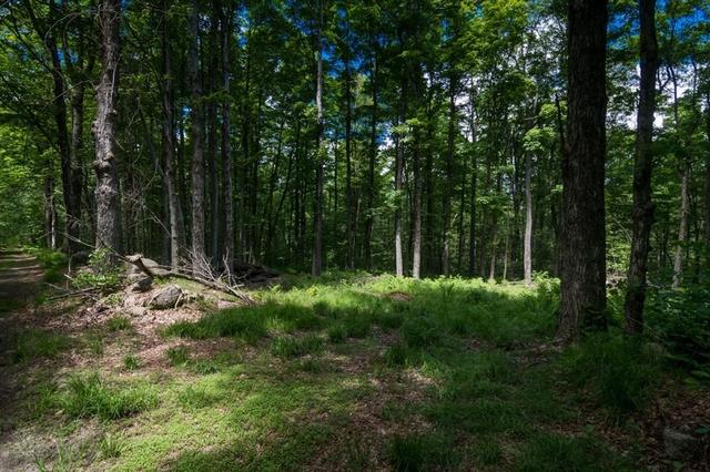 91 Lynes Rd, Chester, MA 01011