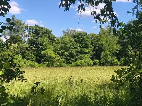 lot4 Holcomb Rd, Chester, MA 01011