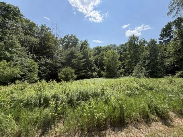 25 Deer Run, Becket, MA 01223