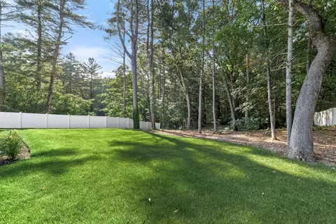 365 Charles River St, Needham, MA 02492 photo 37
