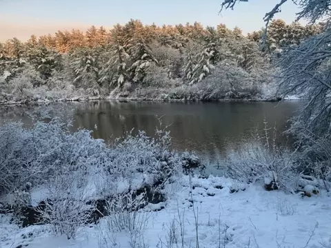 View/Area - 10 Pond Edge Trl, Wareham, MA 02571 photo 2 of 4