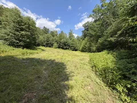 Exterior - 00 Zoar Rd, Rowe, MA 01367 photo 9 of 10