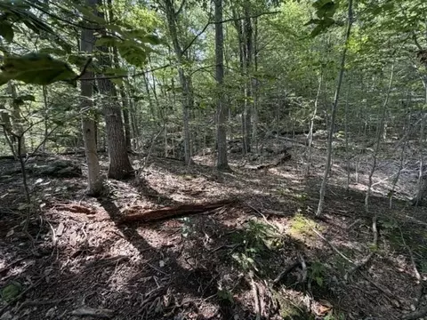 Exterior - 00 Zoar Rd, Rowe, MA 01367 photo 3 of 10