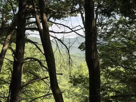 View/Area - 00 Zoar Rd, Rowe, MA 01367 photo 1 of 2