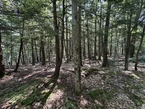 Exterior - 00 Zoar Rd, Rowe, MA 01367 photo 4 of 10