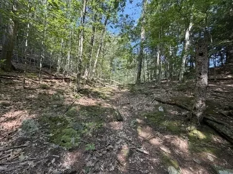 Exterior - 00 Zoar Rd, Rowe, MA 01367 photo 5 of 10