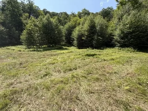 Exterior - 00 Zoar Rd, Rowe, MA 01367 photo 10 of 10