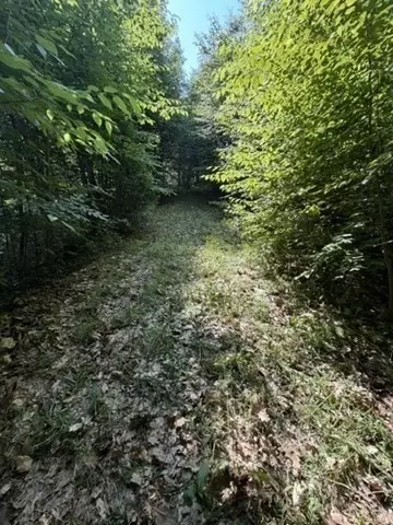 Other - 00 Zoar Rd, Rowe, MA 01367 photo 12 of 13