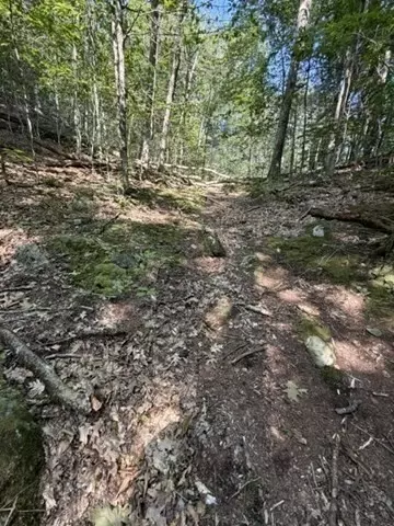 Other - 00 Zoar Rd, Rowe, MA 01367 photo 6 of 13