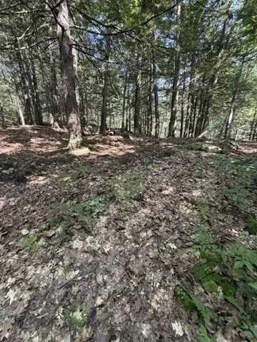 Other - 00 Zoar Rd, Rowe, MA 01367 photo 5 of 13