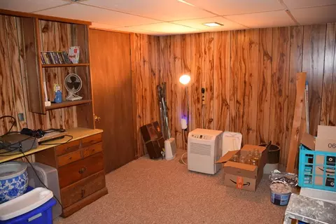 62 Balfour Dr, Springfield, MA 01118 photo 22