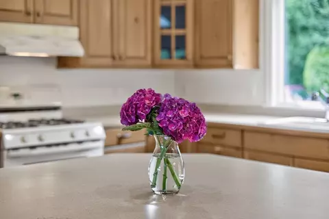 72 Smith St, Chatham, MA 02633 photo 6