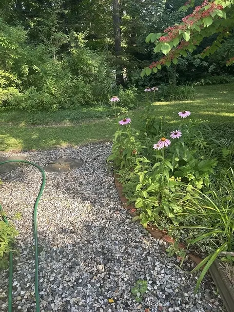 Exterior - 12 Stage Rd, Westhampton, MA 01027 photo 10 of 11