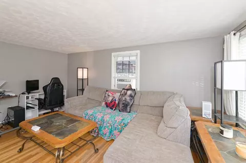 Living - 799 Franklin St, Worcester, MA 01604 photo 1 of 2