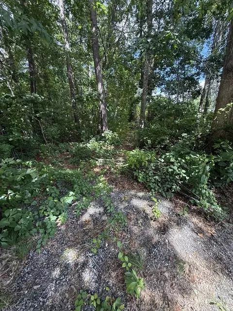 12 Taft St, Wareham, MA 02571 photo 3