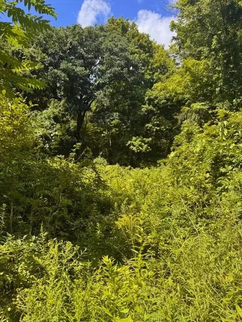 Other - 264 Breen Rd, Hardwick, MA 01082 photo 2 of 10