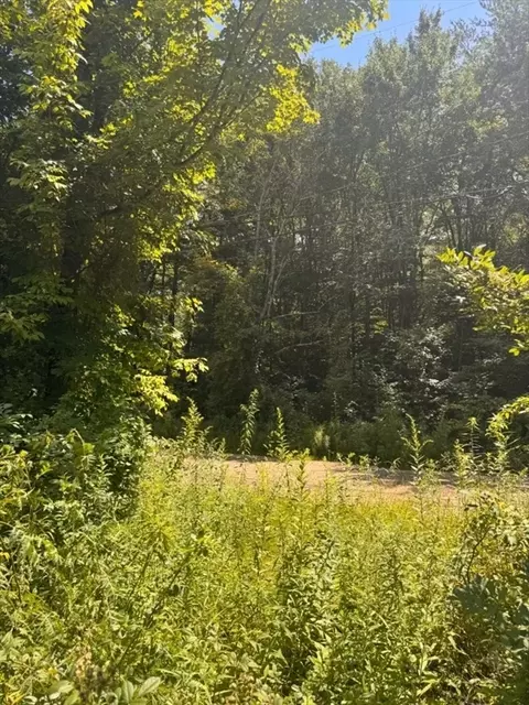 Other - 264 Breen Rd, Hardwick, MA 01082 photo 8 of 10
