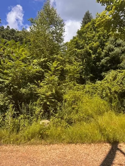 Other - 264 Breen Rd, Hardwick, MA 01082 photo 4 of 10
