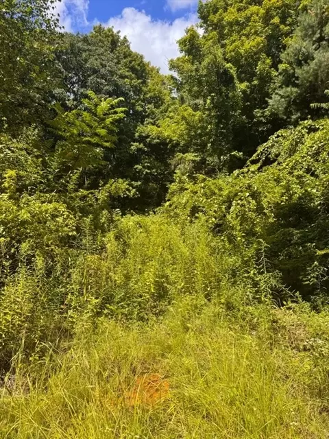 Other - 264 Breen Rd, Hardwick, MA 01082 photo 3 of 10