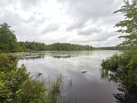 View/Area - 238 Sherbert Rd, Ashburnham, MA 01430 photo 3 of 3