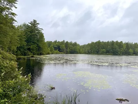 View/Area - 238 Sherbert Rd, Ashburnham, MA 01430 photo 1 of 3