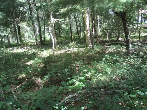 258 Great Neck Rd, Wareham, MA 02571 photo 2