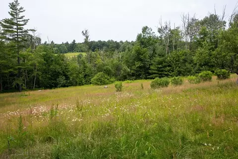 Exterior - 154 Leshure Rd, Rowe, MA 01367 photo 11 of 14
