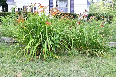 Other - 134 Church St, Ware, MA 01082 photo 1 of 2