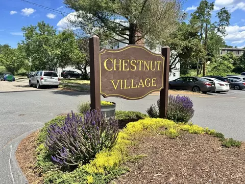 72 Bryon Rd #2, Chestnut Hill, MA 02467