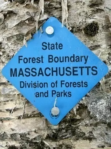 Other - 331 Ed Clark Rd, Colrain, MA 01340 photo 8 of 8