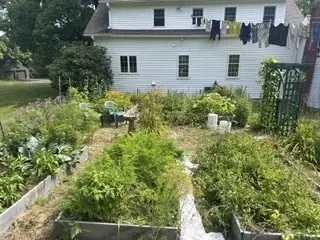 Exterior - 173 Athol Rd, Orange, MA 01364 photo 4 of 12