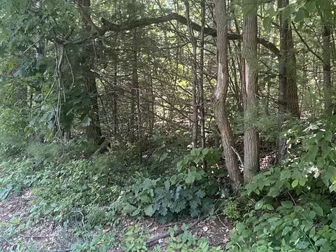 Lt 73 73.1 Old Gilbertville Rd, Ware, MA 01082 photo 3