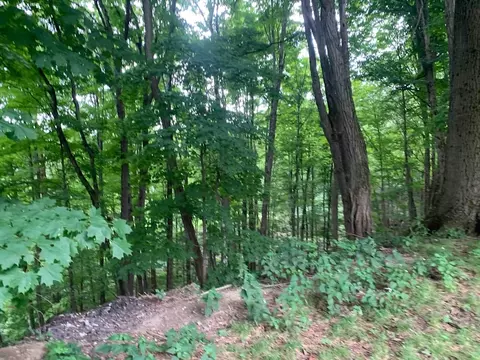 0 Chestnut Plain Rd, Whately, MA 01093 photo 3