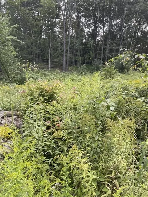 208 Erickson Rd, Ashby, MA 01431 photo 5