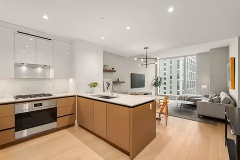 380 Harrison Ave #PENTHOUSE2M, Boston, MA 02118