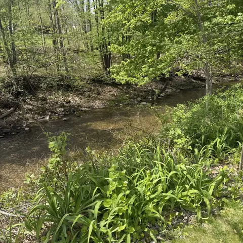 View/Area - 87 Ashfield Rd, Conway, MA 01341 photo 1 of 2