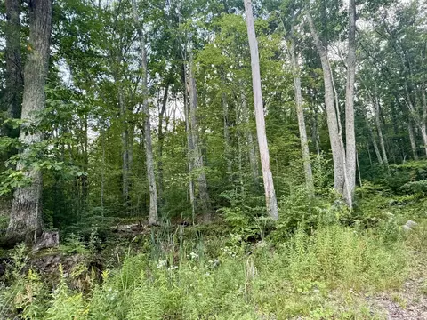 0 Old Poor Farm Rd, Ware, MA 01082 photo 3