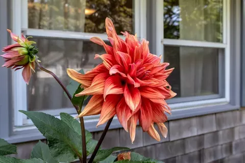 Other - 66 Sheaffer Rd, Centerville, MA 02632 photo 6 of 6