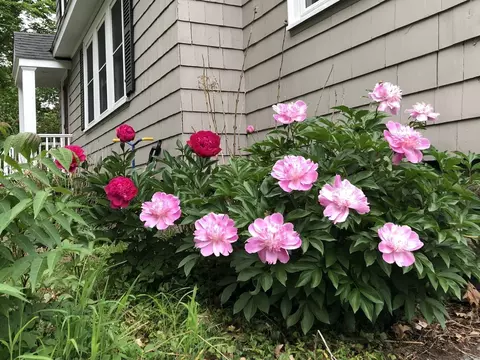 Other - 24 Thorndike St, Reading, MA 01867 photo 3 of 4