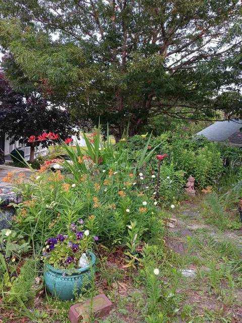Exterior - 15 3rd St, Wareham, MA 02571 photo 6 of 7
